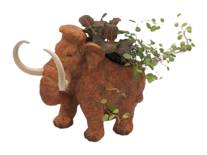 Wooly Mammoth Planter - Image 2