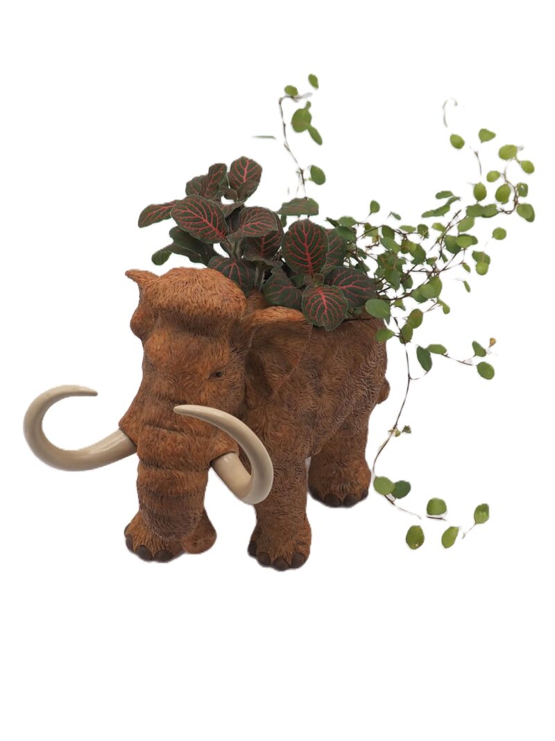 Wooly Mammoth Planter - Image 5