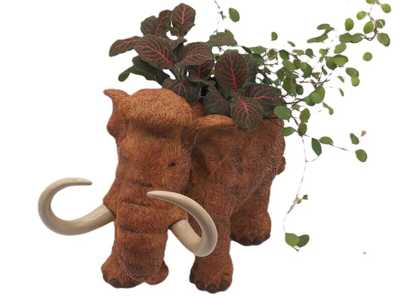 Wooly Mammoth Planter - Image 4