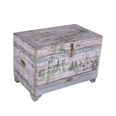 Antique Pastel Lilac & Blue Indian Teak Dowry Treasure Chest – 19th Century Coffee Side Table